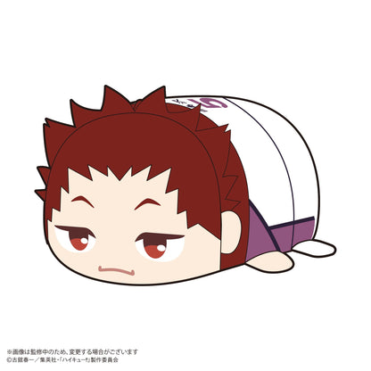 ハイキュー!!_HQ-78 ぽてコロマスコット2【BOX／6個入り】