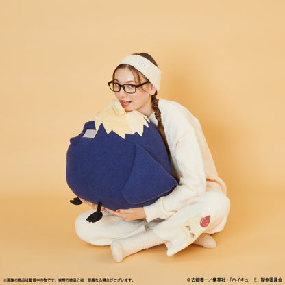 ハイキュー!!_〈ツキガラス〉クッション