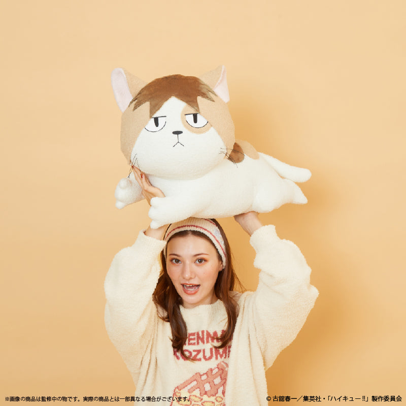 ハイキュー!!_〈ケンマネコ〉クッション