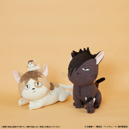 ハイキュー!!_〈クロオネコ〉クッション