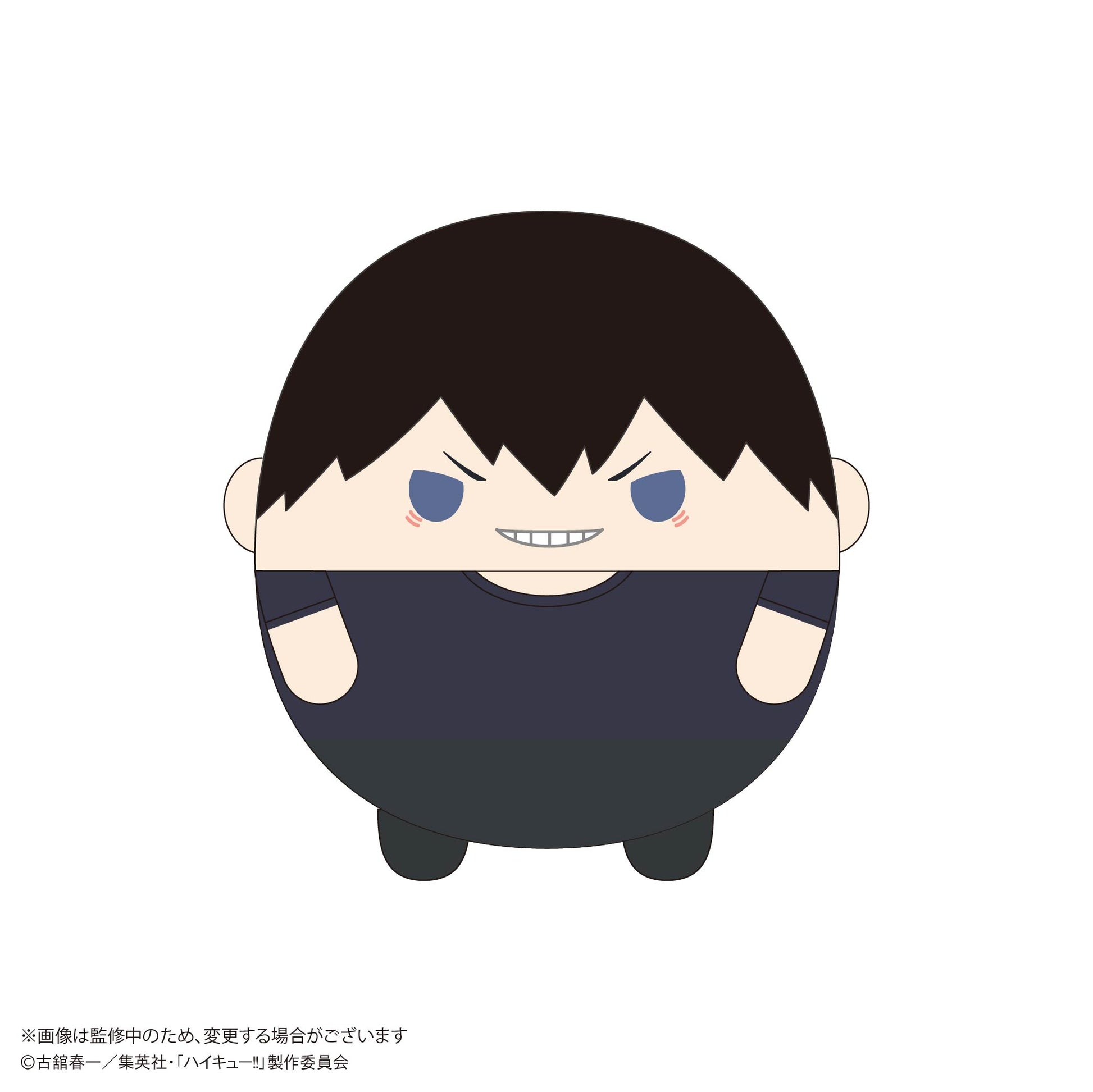 ハイキュー!!_HQ-80 ふわコロりんBIG10 A 影山飛雄