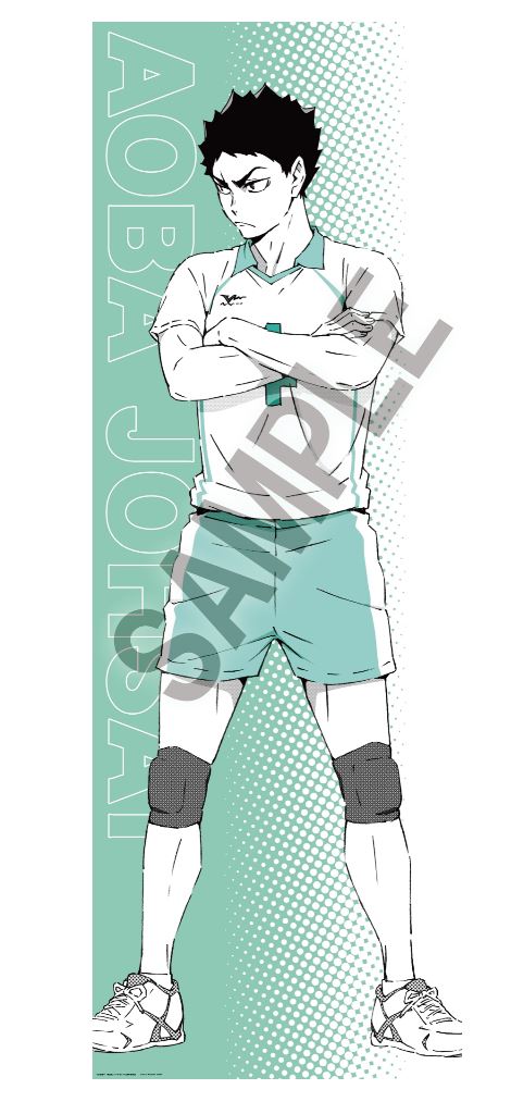 ハイキュー!!_ポートレートシリーズBIGファブリックポスター 岩泉一
