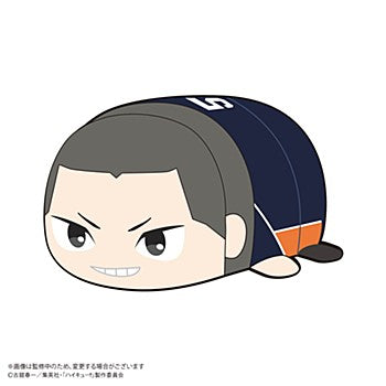 ハイキュー!!_HQ-88 ぽてコロマスコットBIG3 B 田中龍之介