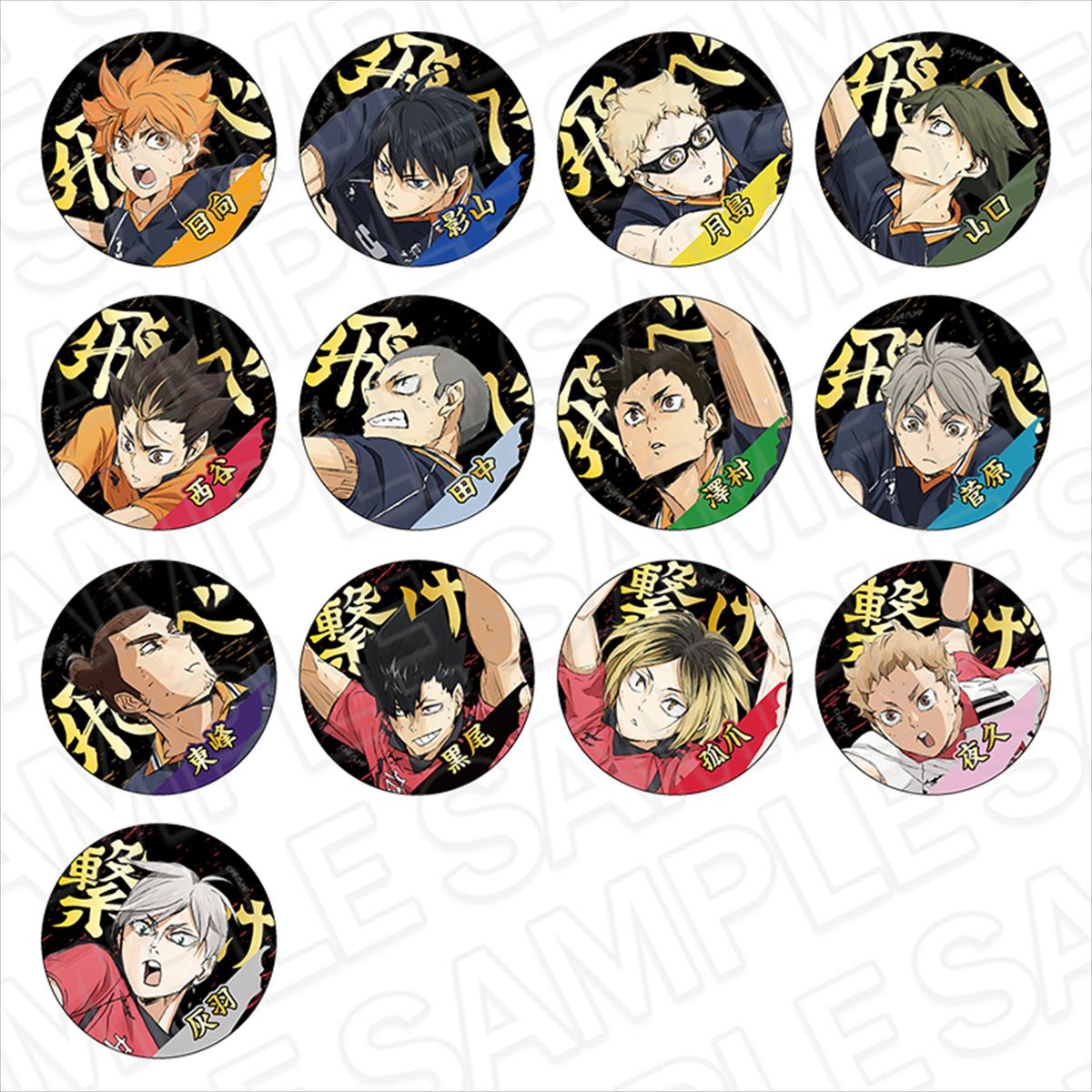 ハイキュー!!_箔押し風カンバッジ(ブラインド)【OPP／13個入り】【コンプリートセット】