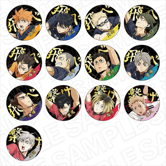 ハイキュー!!_箔押し風カンバッジ(ブラインド)【OPP／13個入り】【コンプリートセット】