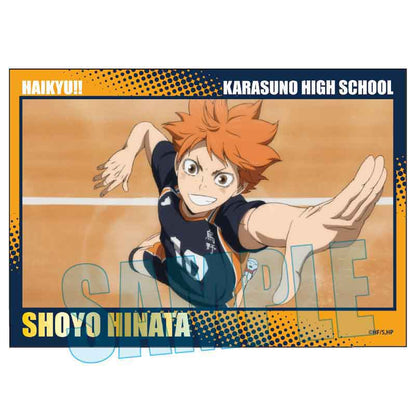 ハイキュー!!_トレーディングメモリーズ箔押しフォトカード【コンプリートOPP／10枚入り】