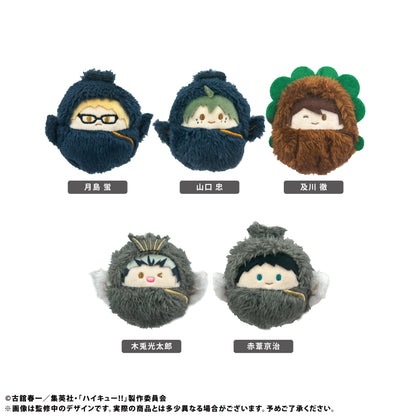 ハイキュー!!_くるみたぴぬい Vol.2【コンプリートBOX/5個入り】