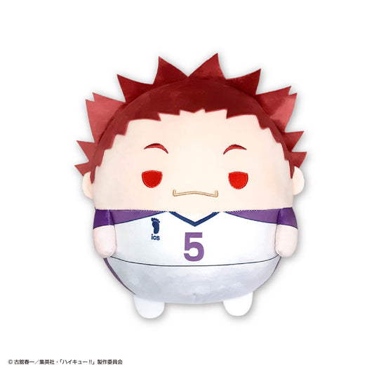 ハイキュー!!_HQ-96 ふわコロりんBIG5 E 天童覚【再販】