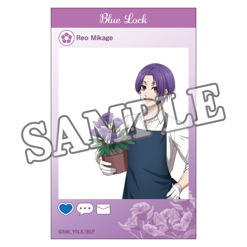 ブルーロック_クリアカードセット フラワーマルシェ