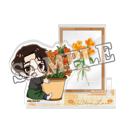 ブルーロック_アクリルカードスタンド フラワーマルシェデフォルメ (雪宮 剣優)