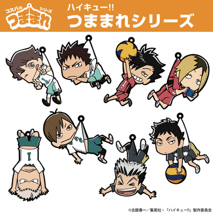 ハイキュー!!_赤葦京治 つままれ ユニフォームVer.