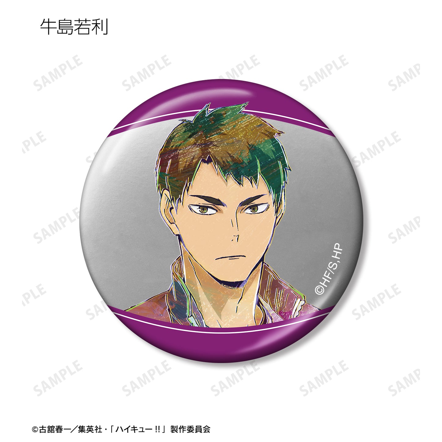 ハイキュー!!_トレーディング Ani-Art 第5弾 メタリック缶バッジ(単位/コンプリートBOX)【BOX/12パック入り】