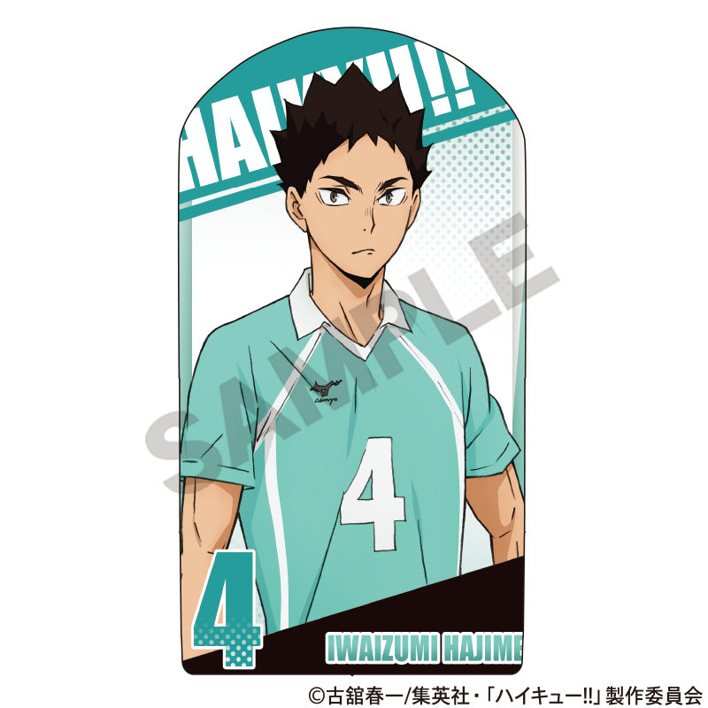 ハイキュー!!_ミニクッションスタンド　岩泉一