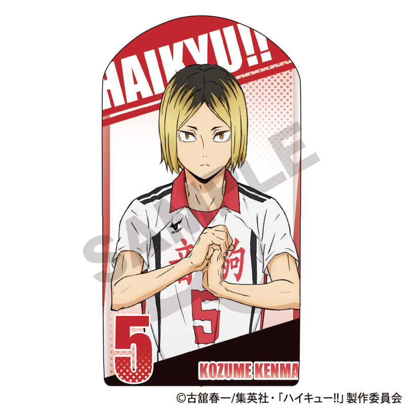 ハイキュー!!_ミニクッションスタンド　孤爪研磨