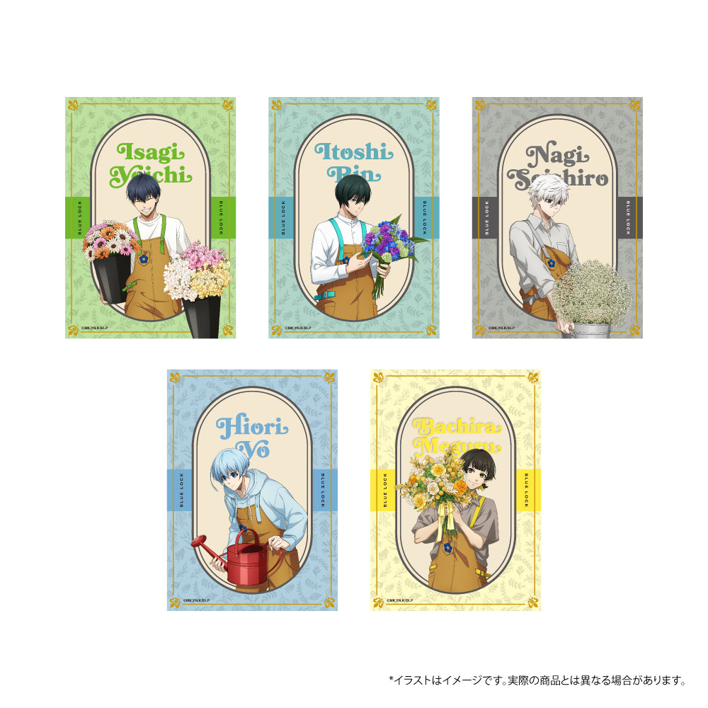 ブルーロック_クリアファイル・ミニポスターセット 蜂楽 廻(お花屋さん)