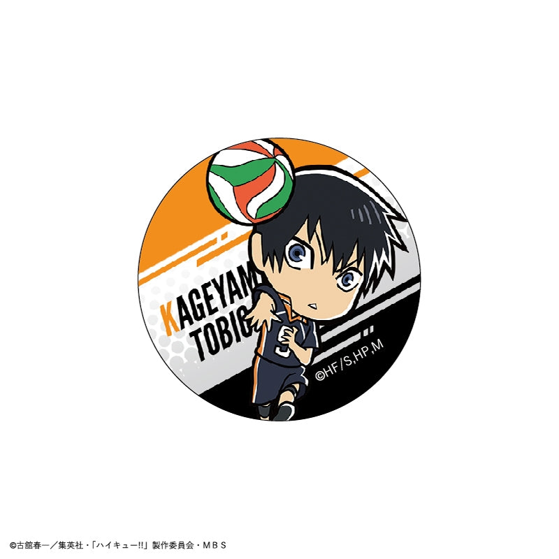 ハイキュー!!_クリスタルマグネット(影山飛雄)